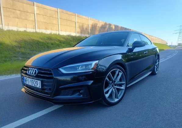 Audi A5 cena 163000 przebieg: 49000, rok produkcji 2019 z Piaseczno małe 631